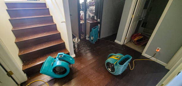Best Water damage restoration near me  in Bangor, WI