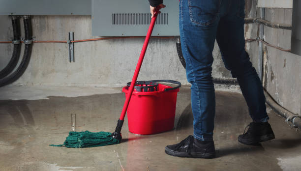 Best Water damage contractors near me  in Bangor, WI