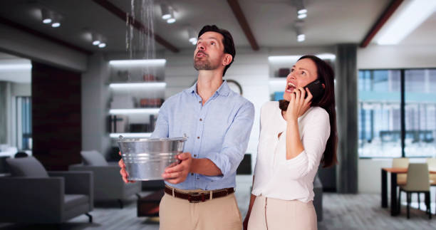 Best Fire Damage Restoration  in Bangor, WI