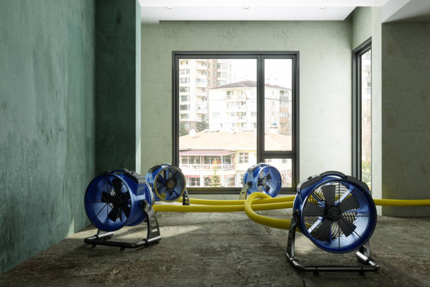 Best Carpet water damage restoration  in Bangor, WI